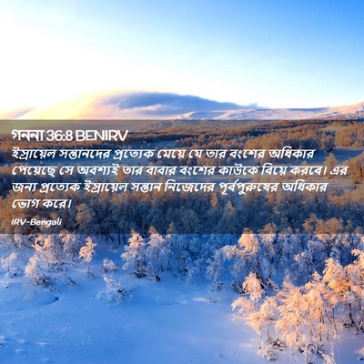 Picture 02 - গননা 36:8 BENIRV - ইস্রায়েল - Bible Verse Picture