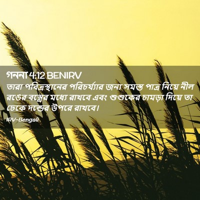 Picture 02 - গননা 4:12 BENIRV - তারা - Bible Verse Picture