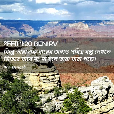 Picture 02 - গননা 4:20 BENIRV - কিন্তু তারা এক - Bible Verse Picture
