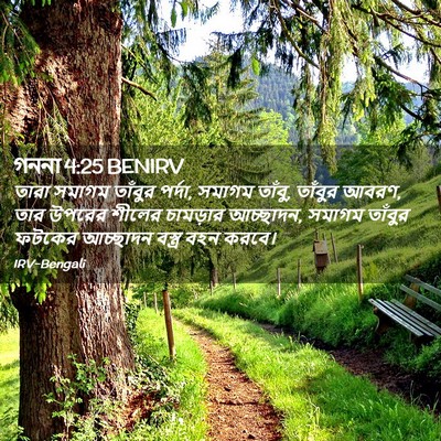 Picture 02 - গননা 4:25 BENIRV - তারা সমাগম তাঁবুর - Bible Verse Picture