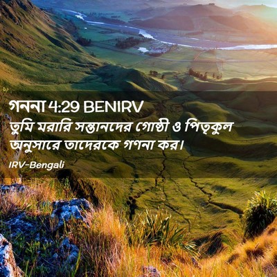 Picture 02 - গননা 4:29 BENIRV - তুমি মরারি - Bible Verse Picture
