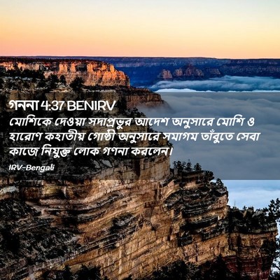 Picture 02 - গননা 4:37 BENIRV - মোশিকে দেওয়া - Bible Verse Picture