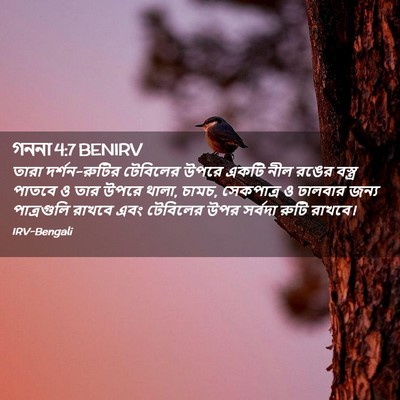 Picture 02 - গননা 4:7 BENIRV - তারা দর্শন-রুটির - Bible Verse Picture