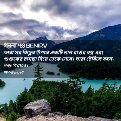 Picture 02 - গননা 4:8 BENIRV - তারা সব কিছুর উপরে - Bible Verse Picture