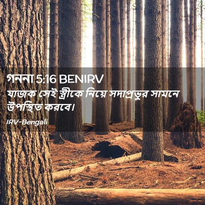 Picture 02 - গননা 5:16 BENIRV - যাজক সেই স্ত্রীকে - Bible Verse Picture