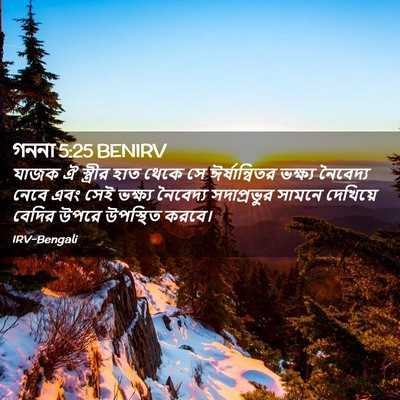 Picture 02 - গননা 5:25 BENIRV - যাজক ঐ স্ত্রীর হাত - Bible Verse Picture