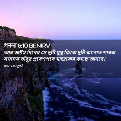 Picture 02 - গননা 6:10 BENIRV - আর অষ্টম দিনের সে - Bible Verse Picture