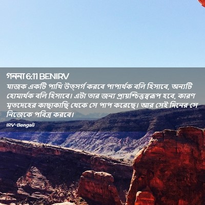 Picture 02 - গননা 6:11 BENIRV - যাজক একটি পাখি - Bible Verse Picture