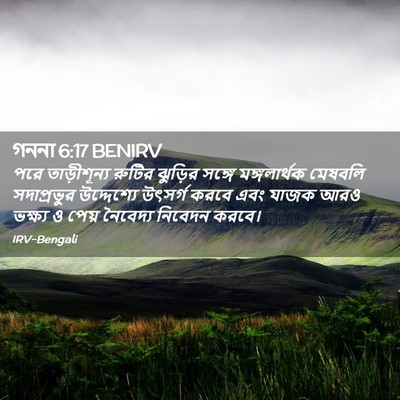 Picture 02 - গননা 6:17 BENIRV - পরে তাড়ীশূন্য - Bible Verse Picture