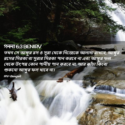 Picture 02 - গননা 6:3 BENIRV - তখন সে আঙ্গুর রস ও - Bible Verse Picture