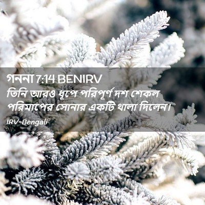 Picture 02 - গননা 7:14 BENIRV - তিনি আরও ধূপে - Bible Verse Picture