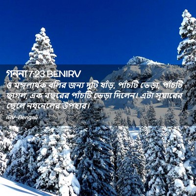 Picture 02 - গননা 7:23 BENIRV - ও মঙ্গলার্থক বলির - Bible Verse Picture