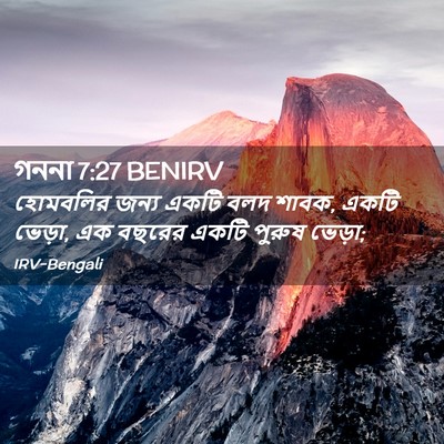 Picture 02 - গননা 7:27 BENIRV - হোমবলির জন্য একটি - Bible Verse Picture