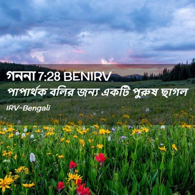 Picture 02 - গননা 7:28 BENIRV - পাপার্থক বলির - Bible Verse Picture