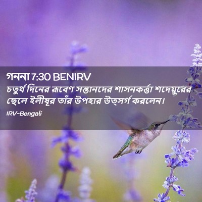 Picture 02 - গননা 7:30 BENIRV - চতুর্থ দিনের - Bible Verse Picture