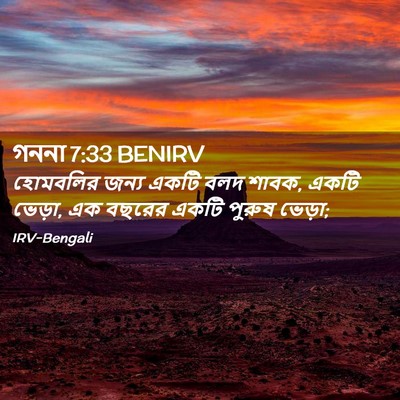 Picture 02 - গননা 7:33 BENIRV - হোমবলির জন্য একটি - Bible Verse Picture