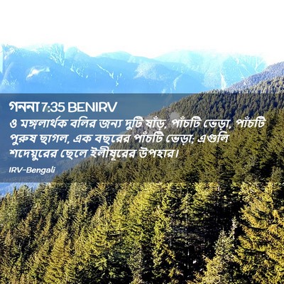 Picture 02 - গননা 7:35 BENIRV - ও মঙ্গলার্থক বলির - Bible Verse Picture