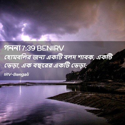Picture 02 - গননা 7:39 BENIRV - হোমবলির জন্য একটি - Bible Verse Picture