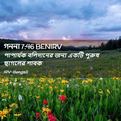 Picture 02 - গননা 7:46 BENIRV - পাপার্থক বলিদানের - Bible Verse Picture