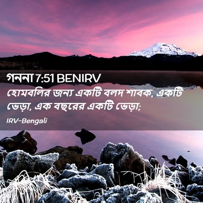 Picture 02 - গননা 7:51 BENIRV - হোমবলির জন্য একটি - Bible Verse Picture