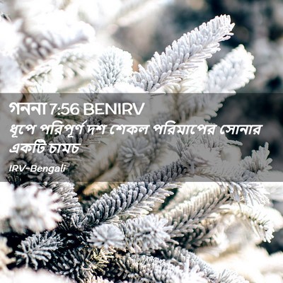 Picture 02 - গননা 7:56 BENIRV - ধূপে পরিপূর্ণ দশ - Bible Verse Picture