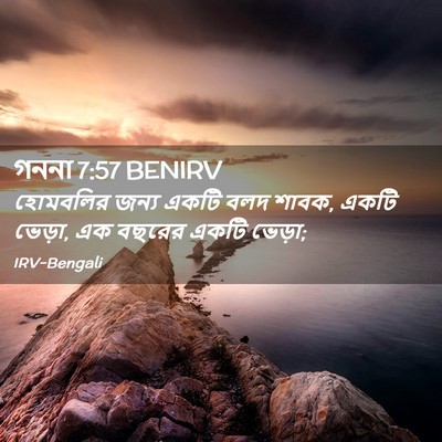 Picture 02 - গননা 7:57 BENIRV - হোমবলির জন্য একটি - Bible Verse Picture