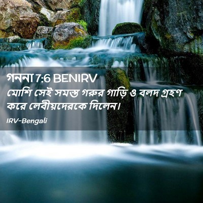 Picture 02 - গননা 7:6 BENIRV - মোশি সেই সমস্ত - Bible Verse Picture