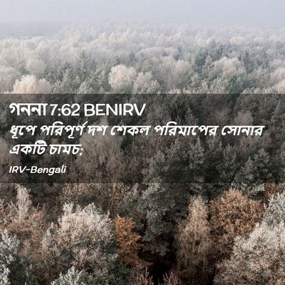 Picture 02 - গননা 7:62 BENIRV - ধূপে পরিপূর্ণ দশ - Bible Verse Picture