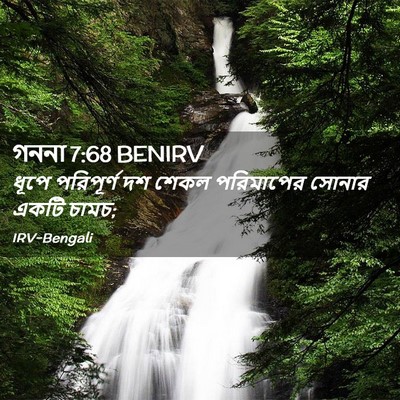 Picture 02 - গননা 7:68 BENIRV - ধূপে পরিপূর্ণ দশ - Bible Verse Picture