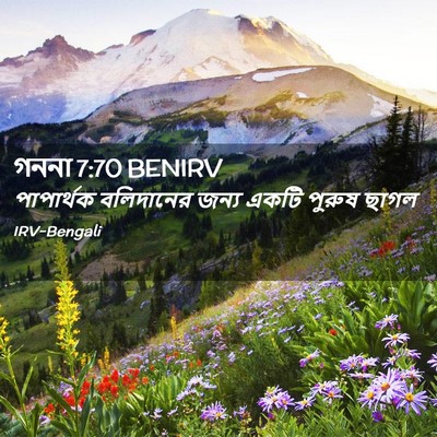 Picture 02 - গননা 7:70 BENIRV - পাপার্থক বলিদানের - Bible Verse Picture