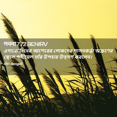 Picture 02 - গননা 7:72 BENIRV - এগারো দিনের - Bible Verse Picture