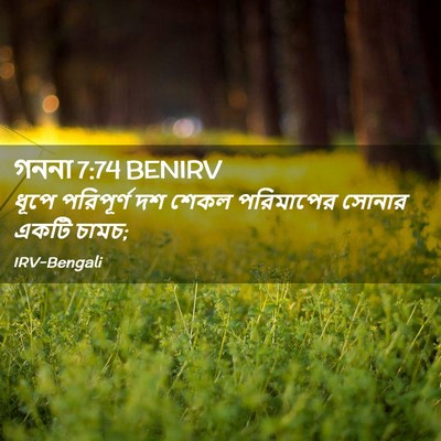 Picture 02 - গননা 7:74 BENIRV - ধূপে পরিপূর্ণ দশ - Bible Verse Picture