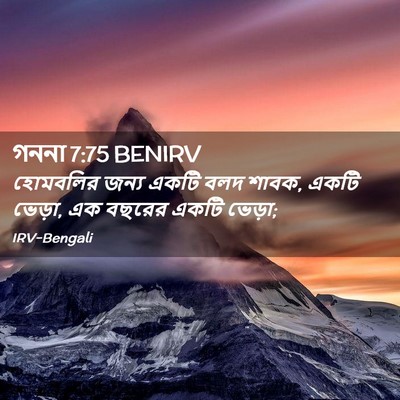 Picture 02 - গননা 7:75 BENIRV - হোমবলির জন্য একটি - Bible Verse Picture