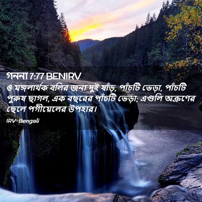 Picture 02 - গননা 7:77 BENIRV - ও মঙ্গলার্থক বলির - Bible Verse Picture