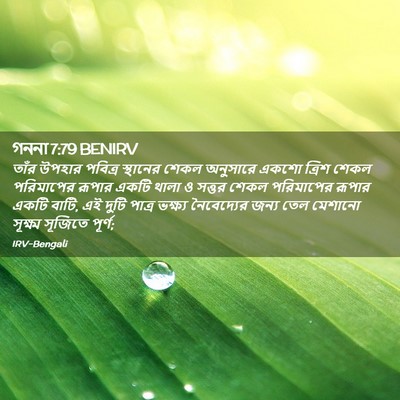 Picture 02 - গননা 7:79 BENIRV - তাঁর উপহার পবিত্র - Bible Verse Picture