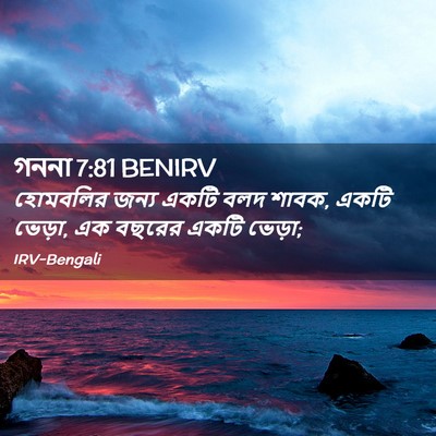 Picture 02 - গননা 7:81 BENIRV - হোমবলির জন্য একটি - Bible Verse Picture