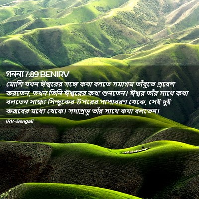 Picture 02 - গননা 7:89 BENIRV - মোশি যখন ঈশ্বরের - Bible Verse Picture