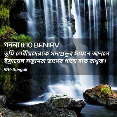 Picture 02 - গননা 8:10 BENIRV - তুমি লেবীয়দেরকে - Bible Verse Picture