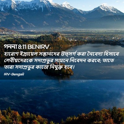 Picture 02 - গননা 8:11 BENIRV - হারোণ ইস্রায়েল - Bible Verse Picture