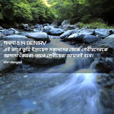 Picture 02 - গননা 8:14 BENIRV - এই ভাবে তুমি - Bible Verse Picture