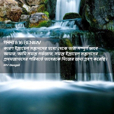 Picture 02 - গননা 8:16 BENIRV - কারণ ইস্রায়েল - Bible Verse Picture