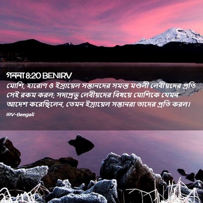Picture 02 - গননা 8:20 BENIRV - মোশি, হারোণ ও - Bible Verse Picture