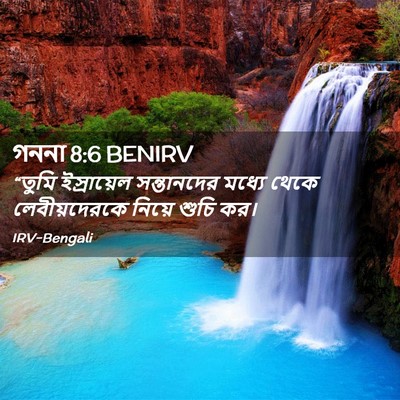 Picture 02 - গননা 8:6 BENIRV - “তুমি ইস্রায়েল - Bible Verse Picture