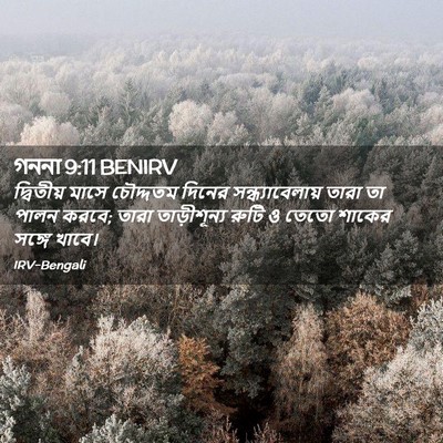 Picture 02 - গননা 9:11 BENIRV - দ্বিতীয় মাসে - Bible Verse Picture