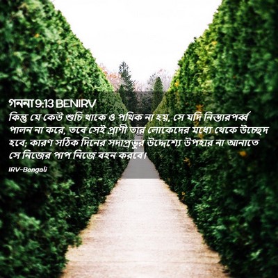 Picture 02 - গননা 9:13 BENIRV - কিন্তু যে কেউ শুচি - Bible Verse Picture