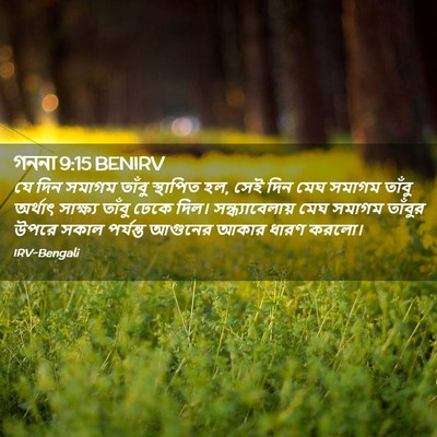 Picture 02 - গননা 9:15 BENIRV - যে দিন সমাগম তাঁবু - Bible Verse Picture