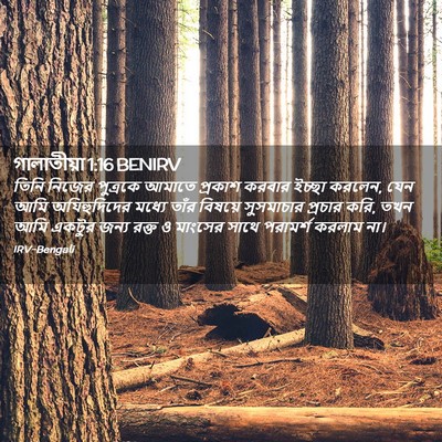 Picture 02 - গালাতীয়া 1:16 BENIRV - তিনি নিজের - Bible Verse Picture