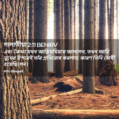 Picture 02 - গালাতীয়া 2:11 BENIRV - এবং কৈফা যখন - Bible Verse Picture
