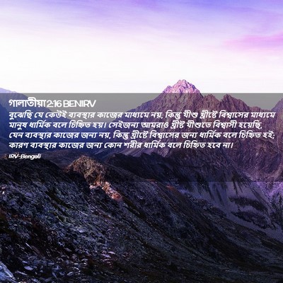 Picture 02 - গালাতীয়া 2:16 BENIRV - বুঝেছি যে কেউই - Bible Verse Picture