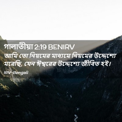 Picture 02 - গালাতীয়া 2:19 BENIRV - আমি তো নিয়মের - Bible Verse Picture